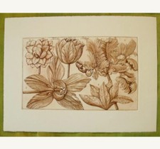 INCISIONE stampata da Lastra