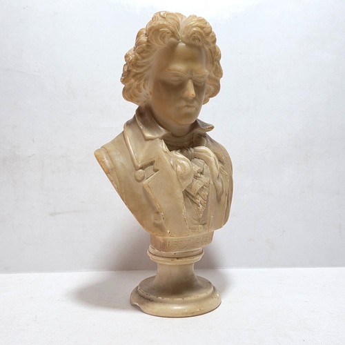 Scultura antica busto in - -,
