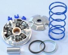 241.676 VARIATORE POLINI per