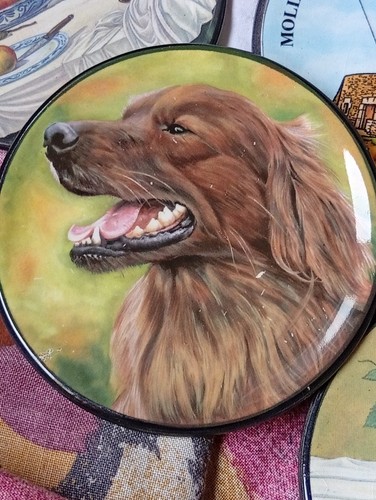 Piattino parete setter - ,