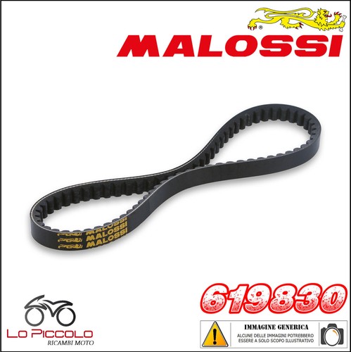 619830 cinghia special belt - cinghia, x