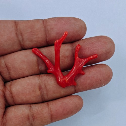 Ramo corallo rosso italiano - rosso,
