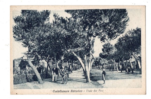 C001081 cartolina - c001081,