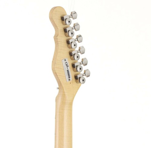 Asat classic usa electric - g&l,