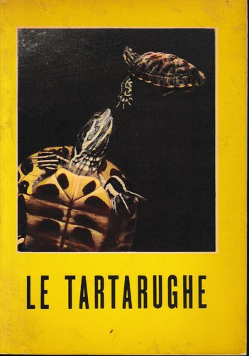 Tartarughe terrestri e - tartarughe,
