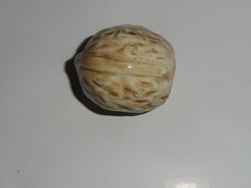 Noce ceramica decorazione - noce,