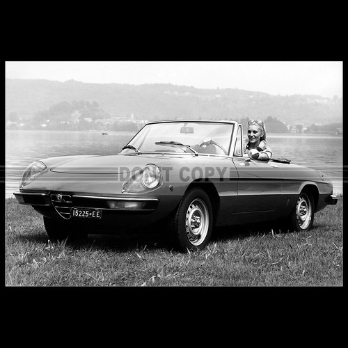 Photo 014406 alfa - a.014406,