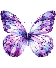 5 adesivi auto 18 x 18 viola