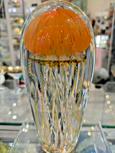 Medusa satava arancione - satava,