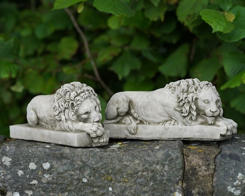 Coppia statue pietra leone - statue,