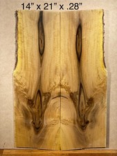 Florida legno di ulivo nero -