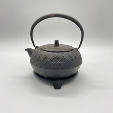 Piccola teiera Nanbu Tekki