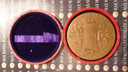 Medaglia bronzo ministero - medaglia,