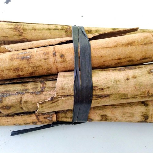 Corteccia pule 500 g - pule,