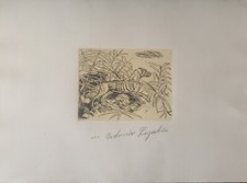 Incisione del Maestro Antonio