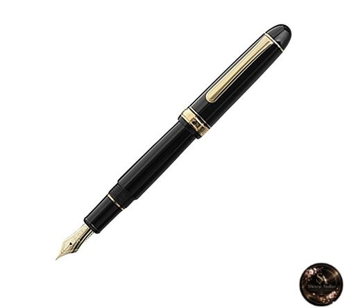 Penna stilografica platinum - penna,