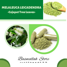 POLVERE Cajeput Foglie Albero