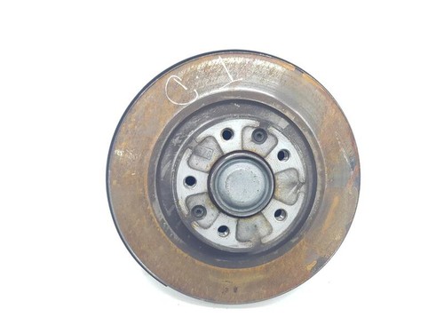 517655 fusello posteriore