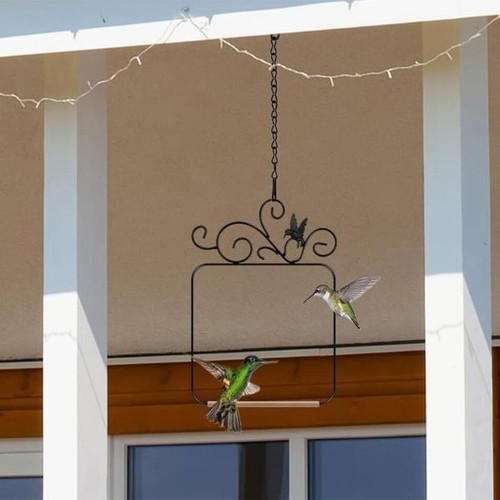 Altalena colibrì con