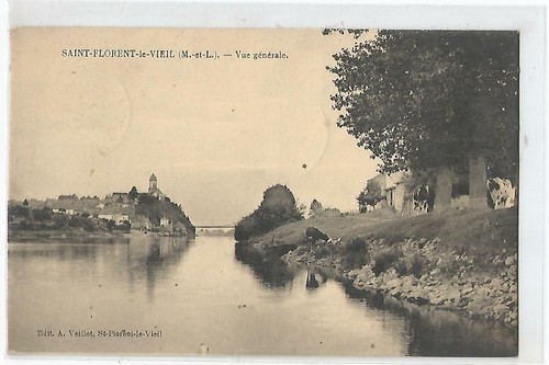 Saint florent vieil - saint,