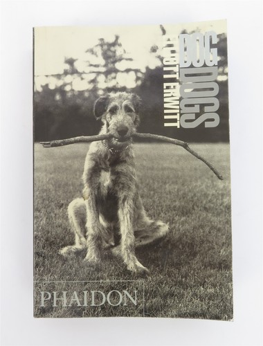Elliott erwitt dogs - erwitt,
