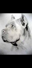 Poster locandina quadro - poster,