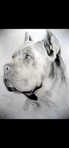 Poster locandina quadro - poster,