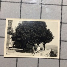 Amelia,Terni,scorcio