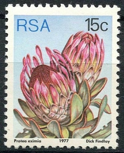 Sudafrica 1977 sg424 - sudafrica,