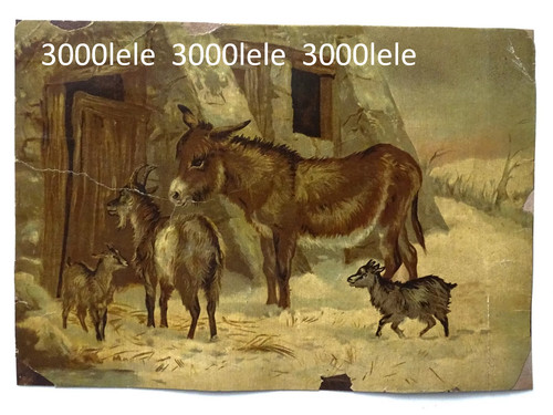 Antica oleografia asinello - ,