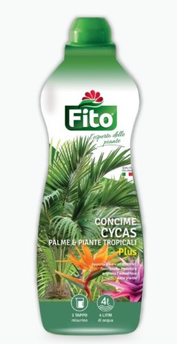 Concime cycas palme piante - cycas,,
