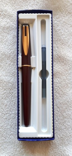Penna stilografica waterman - stilografica,
