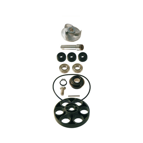 100110160 kit revisione pompa - 100110160,
