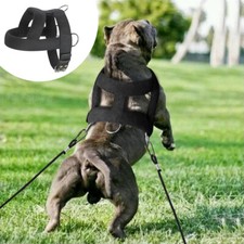 Imbragatura cane da lavoro