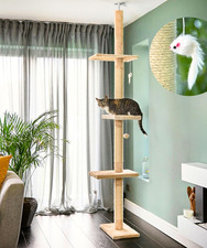 Tiragraffi per Gatti Soffitto