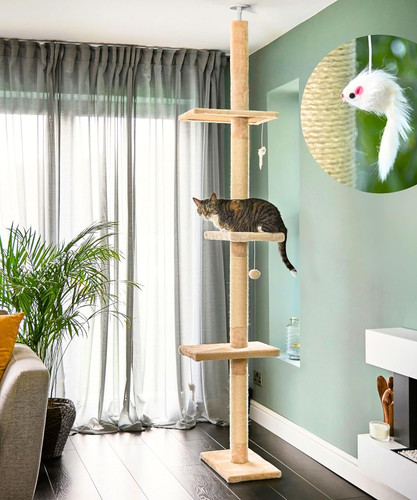 Tiragraffi per gatti soffitto - tiragraffi,
