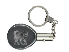 Do Khyi, Tibetano, Mastino