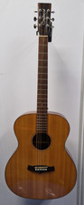 CHITARRA ACUSTICA TANGLEWOOD JAVA TWJFS