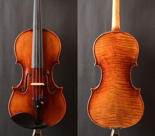 Skillfull oil anti stradivari - skillfull,