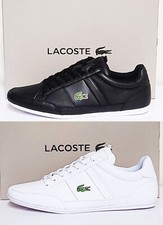 Lacoste brand chaymon - lacoste, bl21