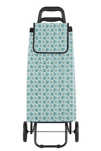 Carrello spesa saliscale 3 - saliscale,