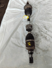 71768711 Semialbero ant