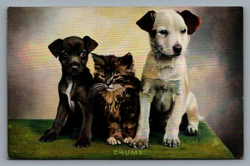 Cartolina tuck chums vita - cartolina, tuck's
