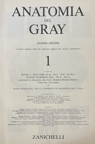 Anatomia del gray 1985 - vv.,