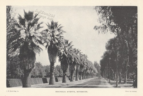 1899 riverside magnolia ave - riverside,