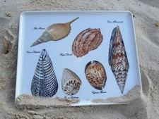 Vassoio conchiglia mare - vassoio,