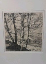 Livio ceschin - livio,