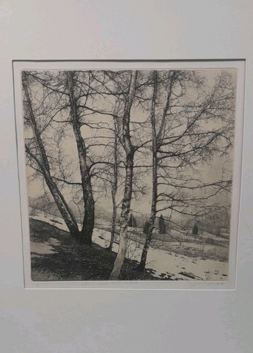 Livio ceschin - livio,