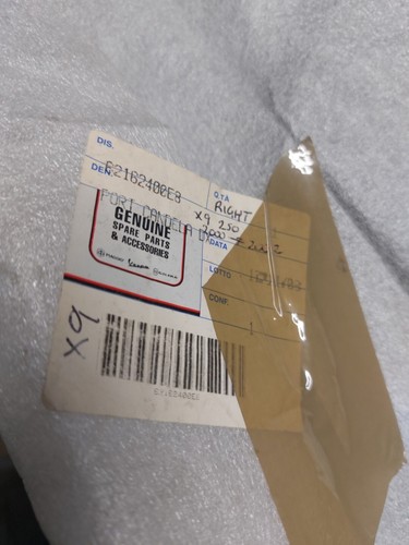 Porta ispezione destra - , piaggio