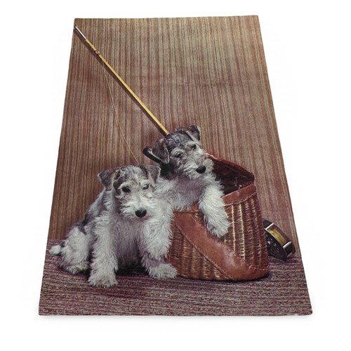 Cartolina vintage plastichrome - cartolina,